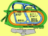 船橋市古作1・中山競馬場・コース図