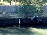 20061008-船橋市日の出1・船橋市立湊中学校-1033-DSC05427