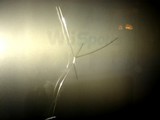 20061122-任天堂・Wii・飛んだリモコン020-1441