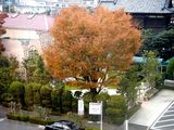 20061126-三井ガーデンホテル・プレシャス船橋-1546-DSC04953