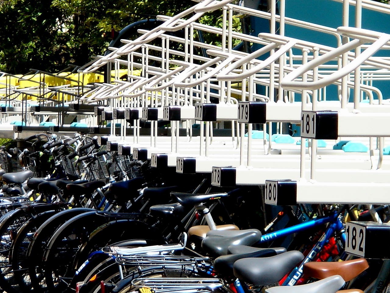 自転車 船橋