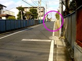 20071208-習志野市谷津・殺人事件-1343-DSC09016E