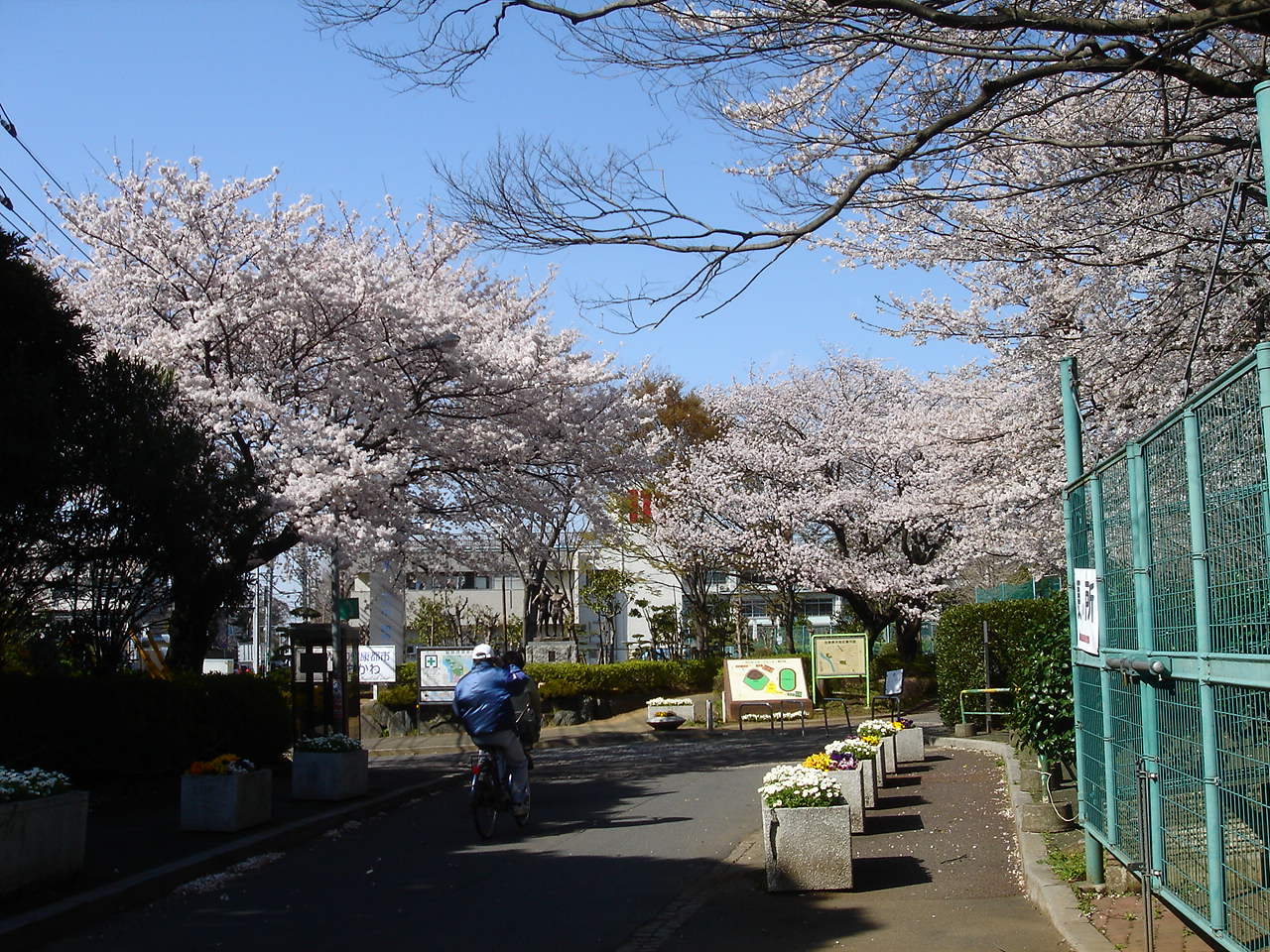 市川市スポーツセンター