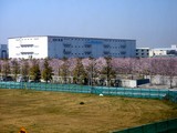 20090406_ԼǱ1_鹭_ѥʥ˥å_1023_DSC01437