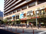 20090419_市川市八幡3_オーケーストア本八幡店_1005_DSC03156