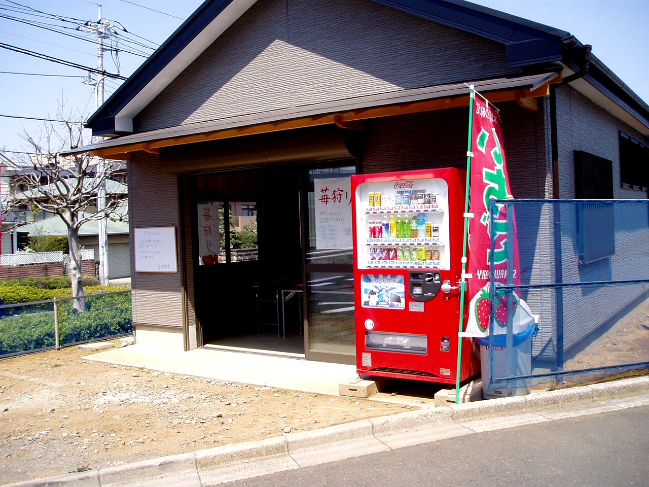 路地野菜販売 船橋市西船 6 ビビット09part1