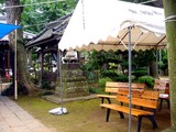 20090628_船橋市東船橋7_茂侶神社まつり_1147_DSC02095