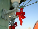 20091121_ԥ_Ωع_1453_DSC07791