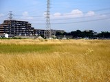 20080725_船橋市北本町1_旭硝子船橋工場_跡地_1258_DSC01971