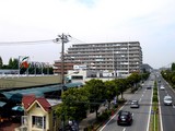 20070512_船橋市行田3_県立行田公園_西_1237_DSC05077
