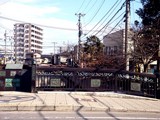 20100220_季節_早春_桜_船橋市本町_海老川0940_DSC00898