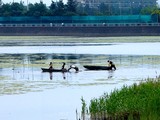 20100605_習志野市秋津5_谷津干潟の日_0945_DSC02430