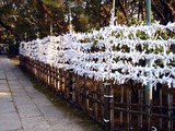 20100104_船橋大神宮_意富比神社_初詣_1534_DSC05381