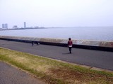 20100418_習志野市茜浜3_茜浜緑地_海浜公園_1221_DSC02062