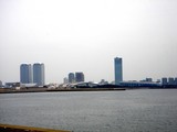 20100418_習志野市茜浜3_茜浜緑地_海浜公園_1222_DSC02066