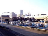 20100228_船橋市_チリ大地震_太平洋沿岸_津波警報_1627_DSC01974