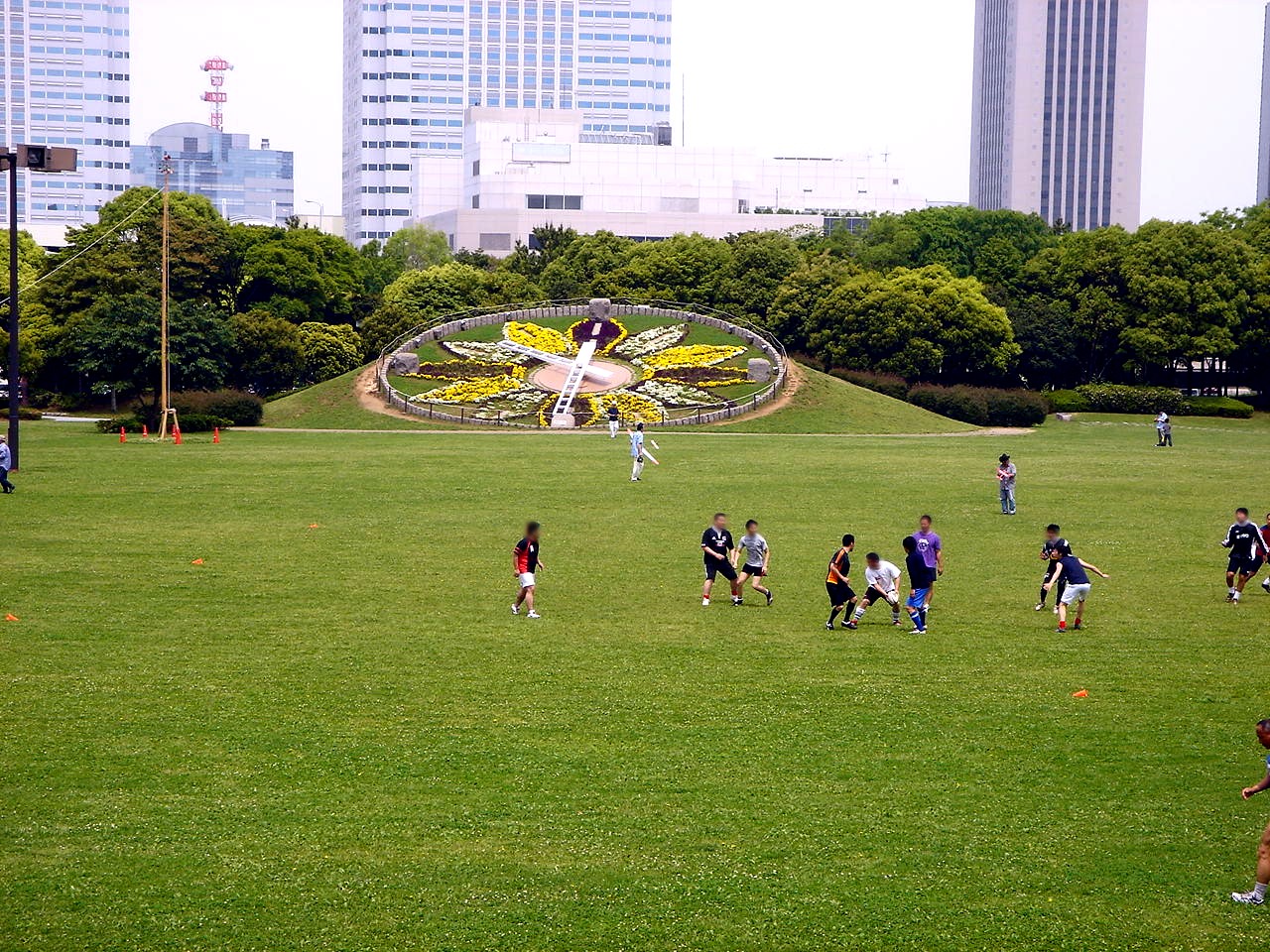 初夏の風10 千葉市張海浜公園芝生広場の花時計編 10 ビビット10part1