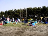 20100429_ふなばし三番瀬海浜公園_潮干狩り_0852_DSC03624