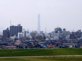 20100410_市川市国府台3_里見公園_東京スカイツリー_1145_DSC01061