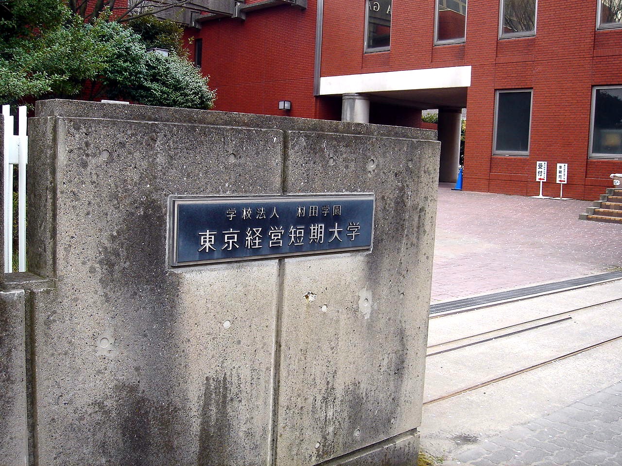 春の風10 市川市二俣東京経営短期大学のサクラ 54 ビビット10part1