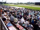 20090802_船橋市古作1_中山競馬場_花火大会_1637_DSC09161