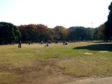 20101128_船橋市_千葉県立行田公園_健伸行田幼稚園_1019_DSC04255