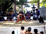 20091018_船橋市宮本5_船橋大神宮奉納相撲大会_子供_0945_DSC02420