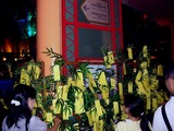 20100707_浦安市舞浜_イクスピアリ_七夕_2026_DSC06914