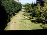 20100926_市川学園_市川中学校高等学校_なずな祭_1133_DSC01517