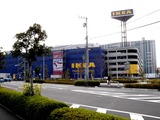 20101121_船橋市浜町_IKEA船橋_モミの木クリスマスツリー_0955_DSC02725