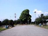 20100822_船橋市馬込_船橋市営馬込霊園_1039_DSC06204