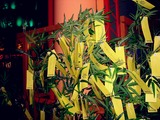 20100707_浦安市舞浜_イクスピアリ_七夕_2026_DSC06915