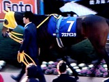 20101226_船橋市古作_中山競馬場_有馬記念_1452_DSC08148T