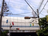 20100710_船橋市湊町_八剱神社例大祭_第八自治会_1453_DSC08066