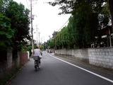 20100923_船橋市市場4_船橋市立船橋高校_α祭_文化祭_0924_DSC01026