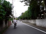 20100923_船橋市市場4_船橋市立船橋高校_α祭_文化祭_0924_DSC01026