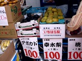 20100822_船橋市金杉_金杉台団地_即売会_1014_DSC06083