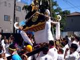 20100717_船橋市本町_八剱神社例大祭_東納谷_1424_DSC09076