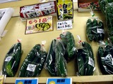 20100822_船橋市高根町_野菜直売所しんぱたけ_1103_DSC06316