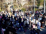 20110203_市川市中山2_法華経寺本院_節分追儺式_1533_DSC04816