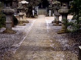 20100410_市川市曽谷2_春日神社_桜_1243_DSC01203