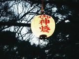 20110104_船橋市宮本_船橋大神宮_初詣_1625_DSC00100