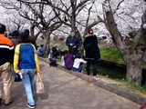 20110410_船橋市_海老川_サクラ_桜_1429_DSC07433