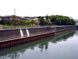 20110618_習志野市香澄6_簡易処理施設設_河川放流_0950_DSC05035