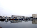 20110402_東日本大震災_船橋市湊町_船橋漁港_朝市_1147_DSC00457