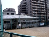 20110206_船橋市本町5_船橋柔道会道場_餅つき_1139_DSC05084