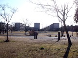 20110109_習志野市袖ヶ浦3_西近郊公園_どんど焼き_0911_DSC00438