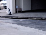 20110312_東日本大震災_葛南地域整備センタ_液状化_1726_DSC09262