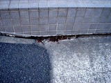 20110326_船橋市市場3_ネッツトヨタ千葉船橋市場通店_1644_DSC09016