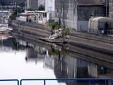 20110402_東日本大震災_船橋市西浦2_堤防破壊_1007_DSC00008